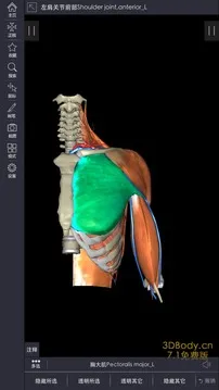 3Dbody���ʰ�׿���ֻ���v8.8.91 �ֻ���