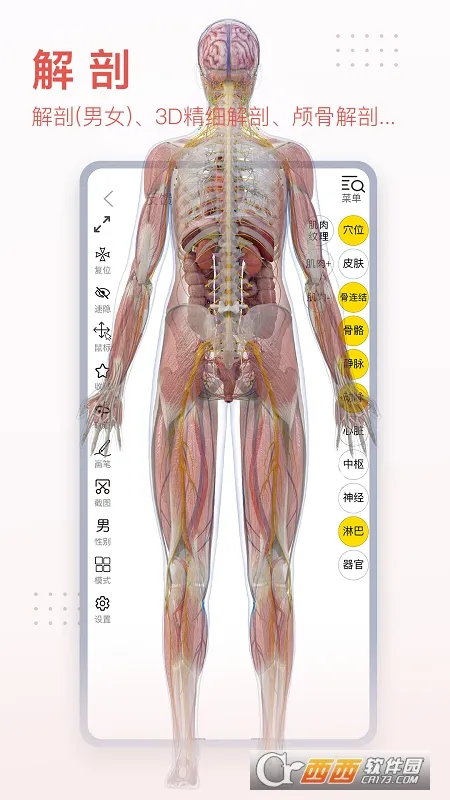 3Dbody���ʰ�׿���ֻ���v8.8.91 �ֻ���