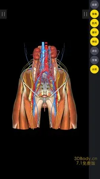 3Dbody���ʰ�׿���ֻ���v8.8.91 �ֻ���