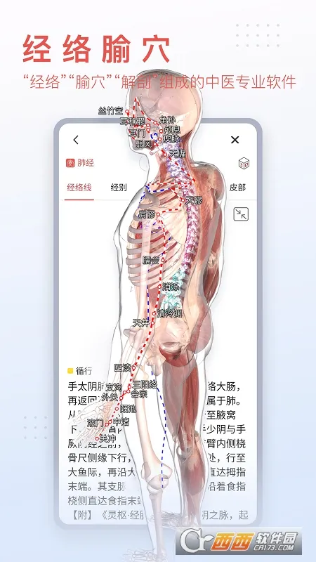 3Dbody���ʰ�׿���ֻ���v8.8.91 �ֻ���