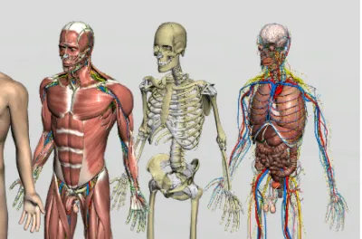 3Dbody���ʰ�׿���ֻ���