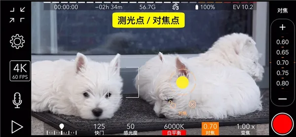 ProMovie专业摄像机2025官方正版 ProMovie专业摄像机2025官方正版