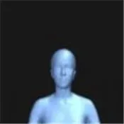 BodyVisualizer2025���ذ�װv3.3.5 �ֻ���
