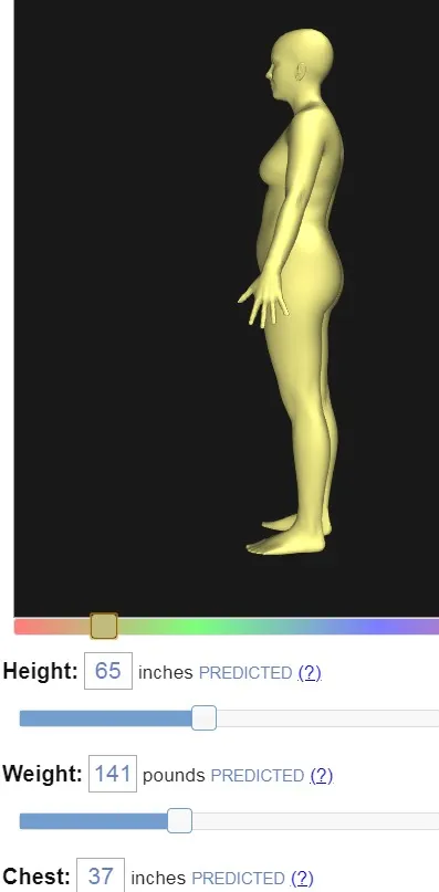 BodyVisualizer2025���ذ�װv3.3.5 �ֻ���