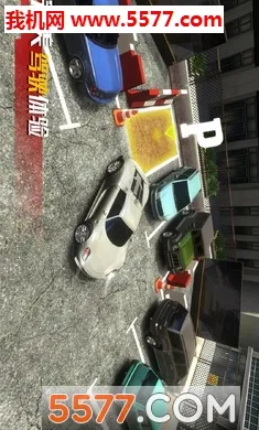 ��ʵͣ������(ģ��ͣ����ʻ)v1.0.0 ��Ѱ�