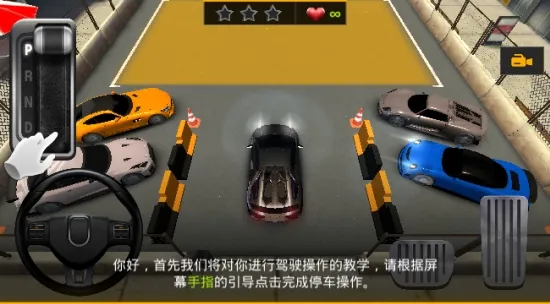 ��ʵͣ������(ģ��ͣ����ʻ)