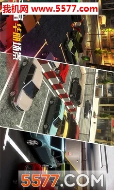 ��ʵͣ������(ģ��ͣ����ʻ)v1.0.0 ��Ѱ�