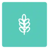 ������2025�ٷ����°汾v1.0 �ٷ���