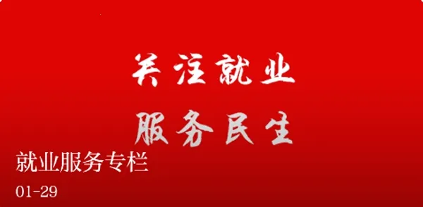 �质����2025�ٷ����°汾