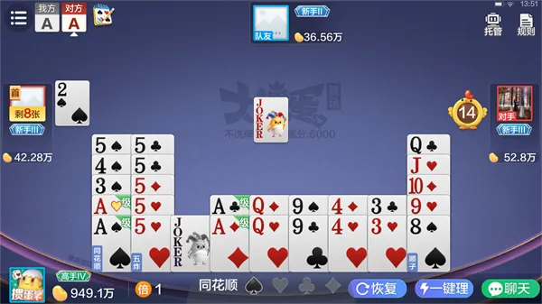 大掼蛋(掼蛋竞技游) 大掼蛋(掼蛋竞技游)