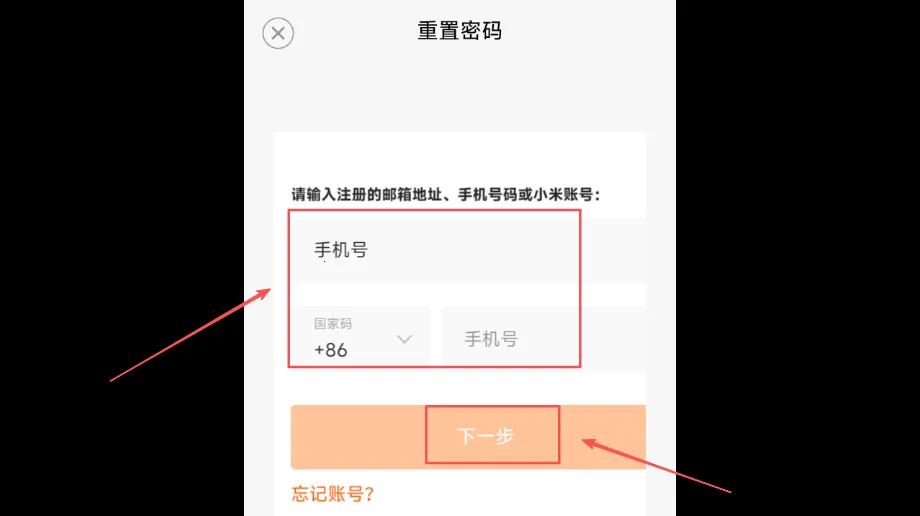 奇妙大世界2025下载 奇妙大世界2025下载
