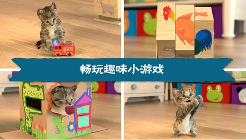 Cat Sim(è��ģ����Ϸ)