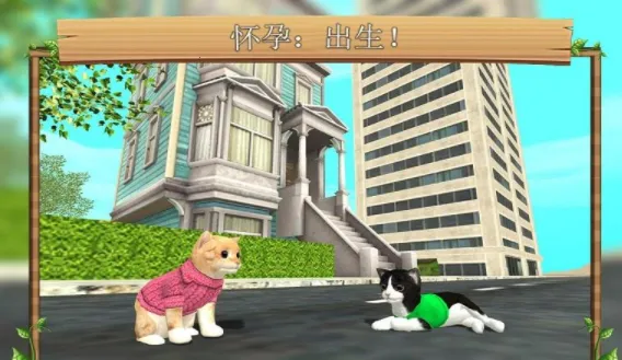 Cat Sim(è��ģ����Ϸ)