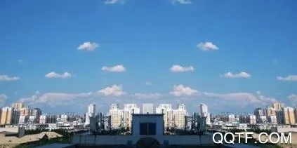 云上望城(望城综合服务端) 云上望城(望城综合服务端)