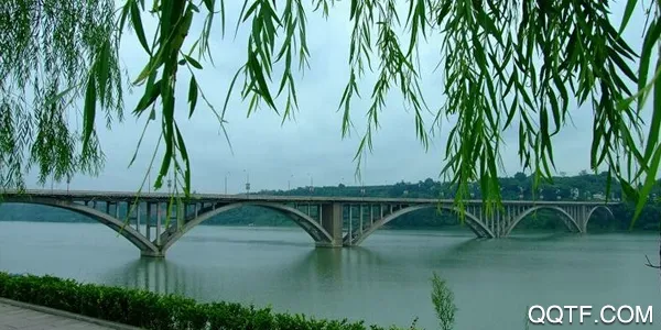 爱武胜(武胜新闻平台) 爱武胜(武胜新闻平台)