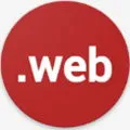 Web Tools2025�ٷ����°汾v2.99 ��׿��