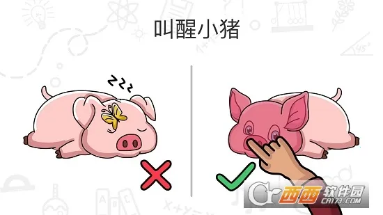 Brain Out(���Խ�����)