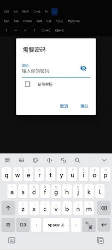 RustDesk2025���°汾