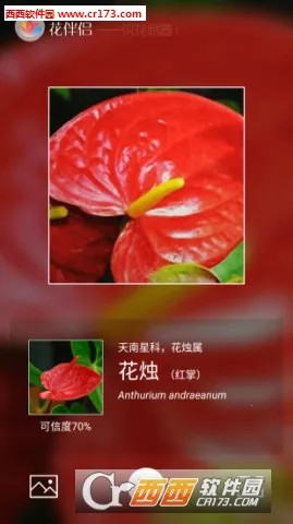 ������(ֲ��ʶ������)v3.2.22 �ֻ���