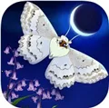 Starlight(��Ů�������)v1.0.60 �ֻ���