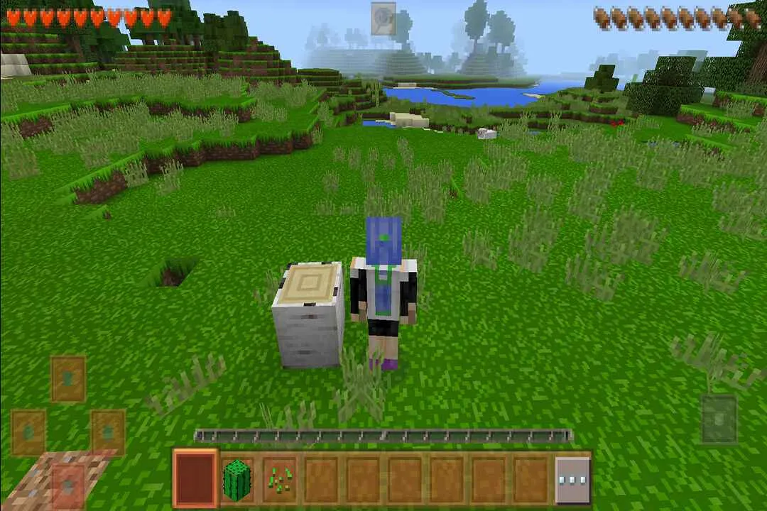 Survivalcraft 2(ɳ��������Ϸ)