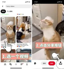 Pinterest(ͼƬ�罻ƽ̨)