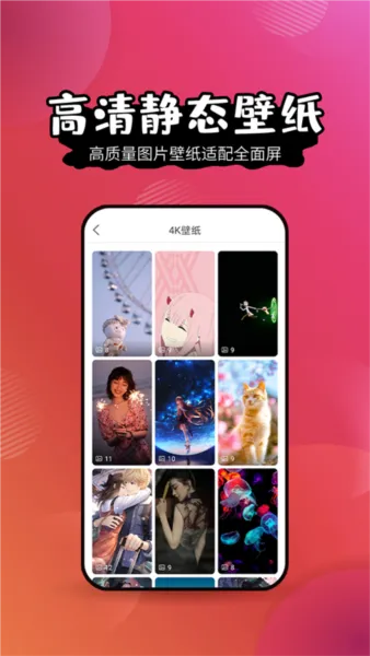 ��ֽ����2025�ٷ����°汾