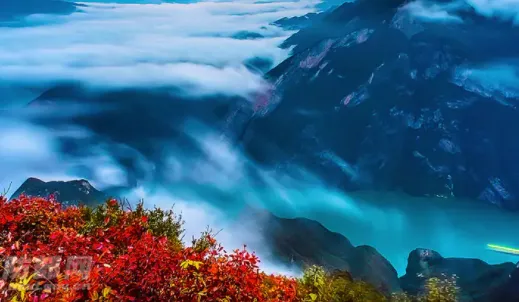 ��ɽ����(����������Ѷ)