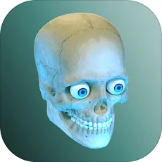 ��������(��������)v1.13 �ֻ���