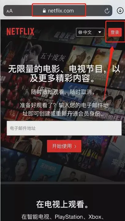 Netflix�����ֻ���v10.0.6 �ֻ���