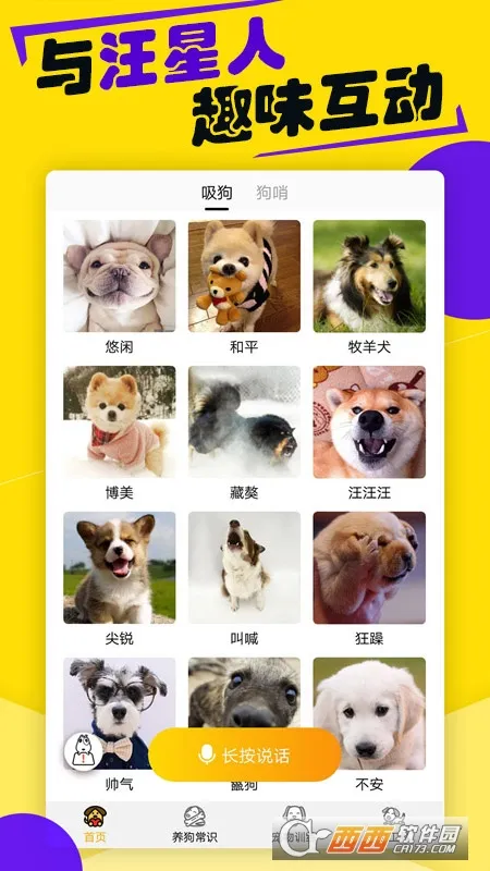 狗语翻译器2025官方最新版本 狗语翻译器2025官方最新版本