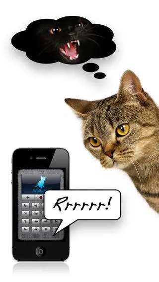 猫语翻译器2025下载 猫语翻译器2025下载
