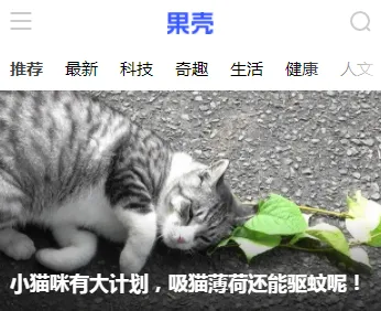 果壳2025官方正版 果壳2025官方正版