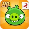 Bad Piggies2025����v2.4.3461 ��׿��