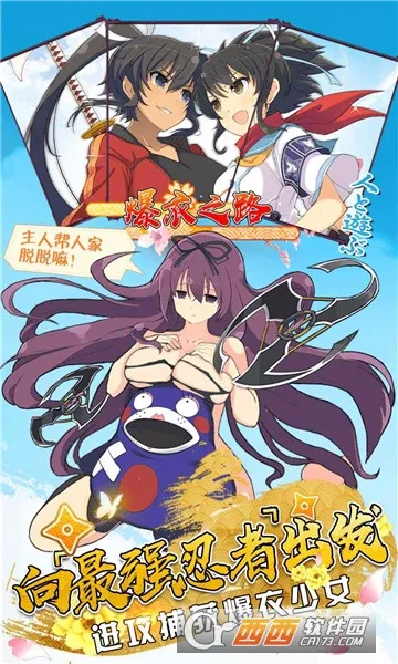 闪乱神乐(美少女战斗) 闪乱神乐(美少女战斗)