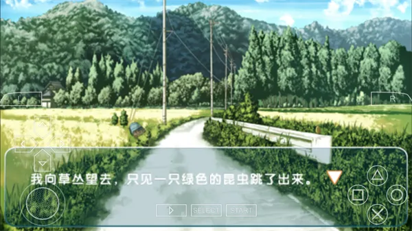 缘之空2025官方正版 缘之空2025官方正版