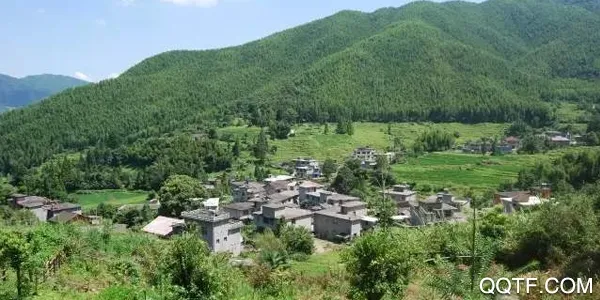 智慧奉新(本地新闻资讯) 智慧奉新(本地新闻资讯)