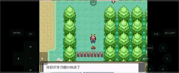 口袋妖怪燃之智启动器(口袋妖怪游戏) 口袋妖怪燃之智启动器(口袋妖怪游戏)