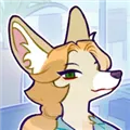���﹫˾2026�ٷ�����v1.3.9 ��Ѱ�