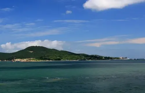 山东一卡通 山东一卡通