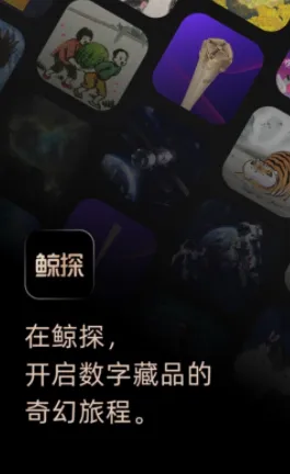 ��̽2026���°汾