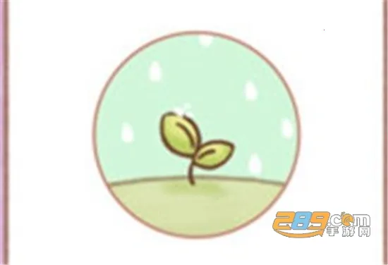 YoYo�ճ�