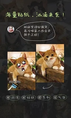 �ȳ����v1.0 �ֻ���