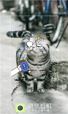 �ȳ����v1.0 �ֻ���