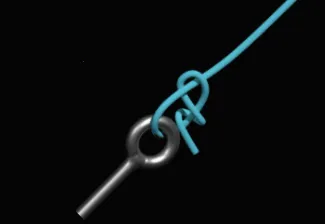 Knots 3D2026���°汾