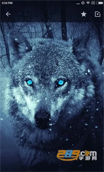 wallpaperenginev2.7.4 免费版