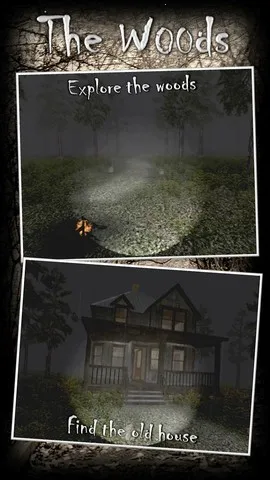 Forest2026���ذ�װv5.10.3 �ֻ���