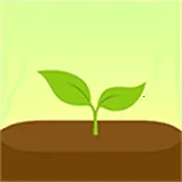 Forest2026���ذ�װv5.10.3 �ֻ���