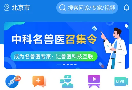 �п�����ҽ�����ֻ���