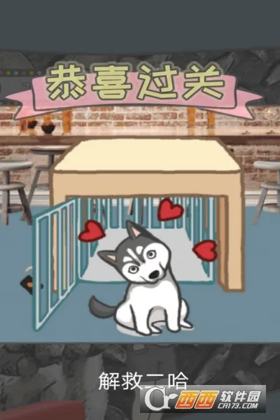 竟然养二哈 竟然养二哈